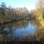 Langer Aufzuchtteich