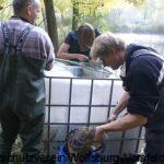 Im Bild sortieren Frank Dörk, Sören Bethge und Co. den Fang.